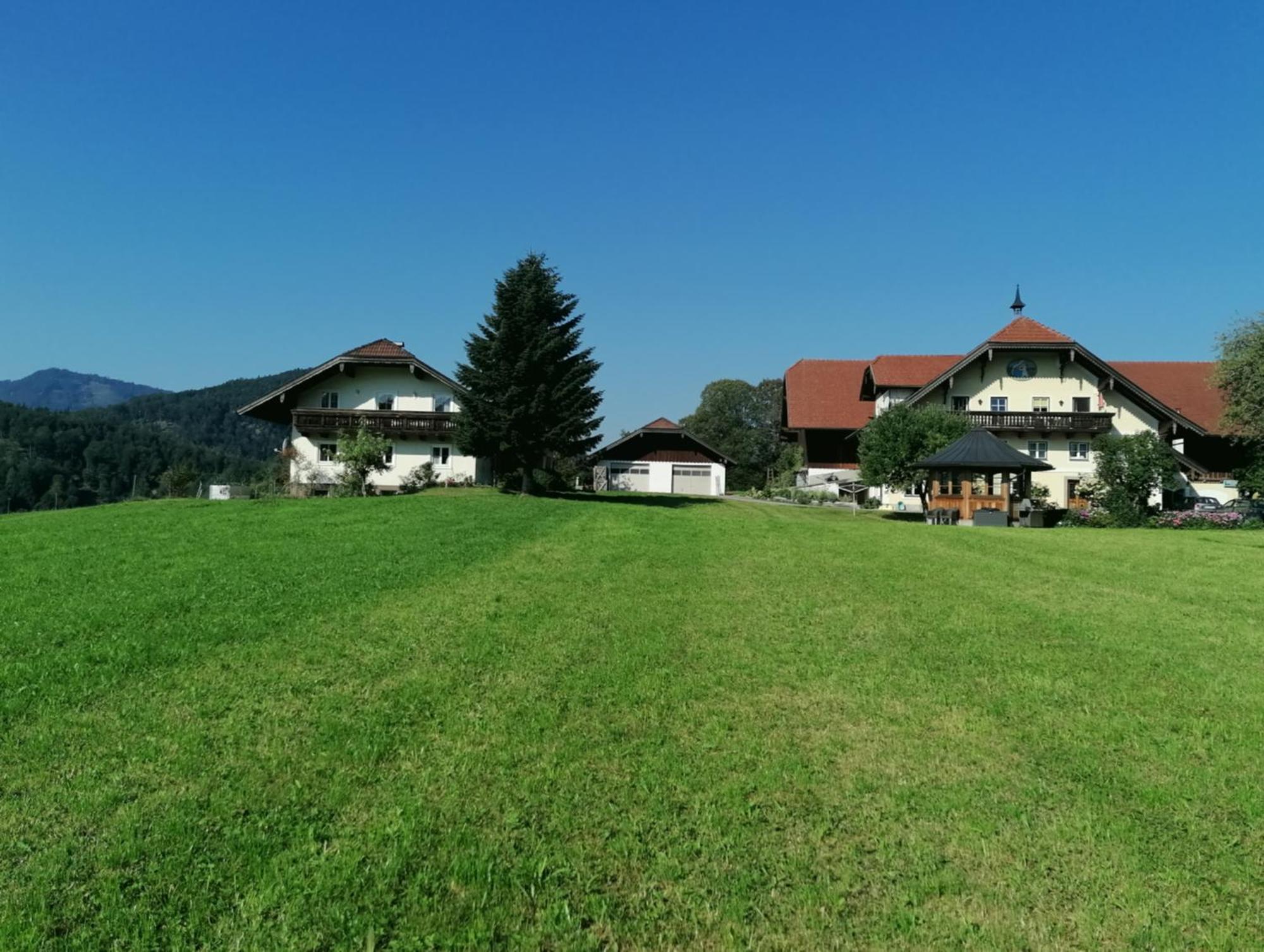 Vordergschwandtgut Appartement Faistenau Buitenkant foto